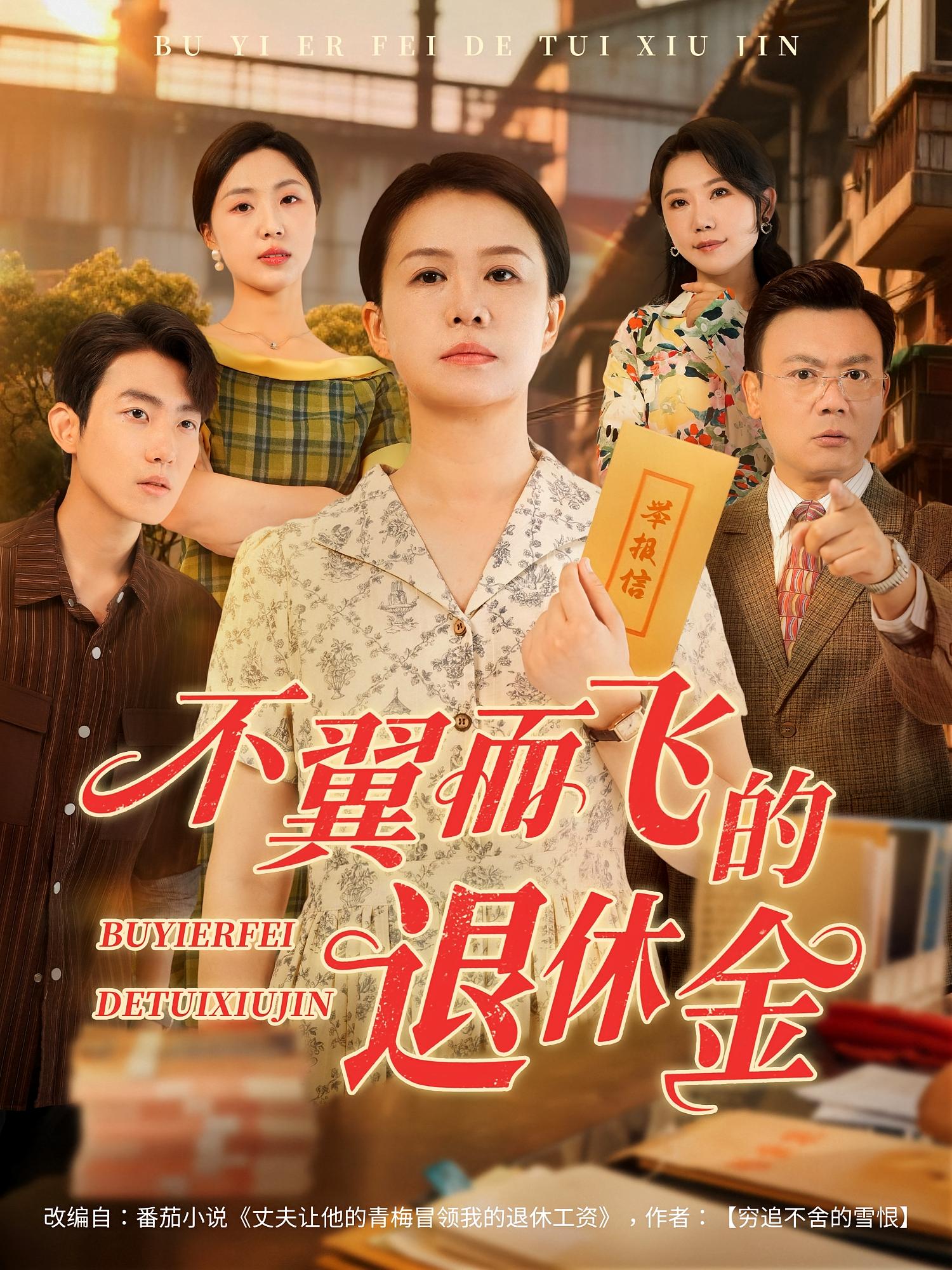 不翼而飞的退休金第09集