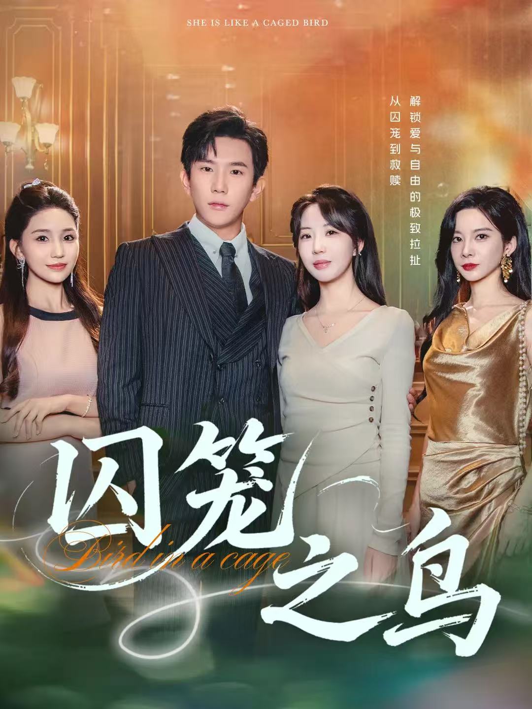 囚笼之鸟第13集