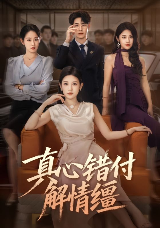 真心错付解情缰第63集