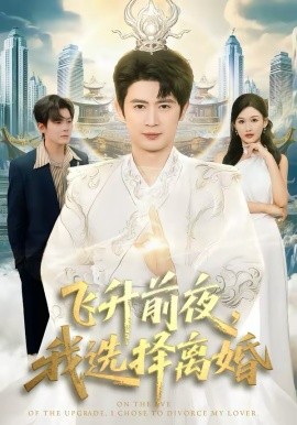 飞升前夜，我选择离婚第41集
