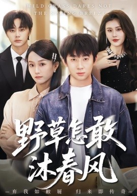 野草怎敢沐春风第13集