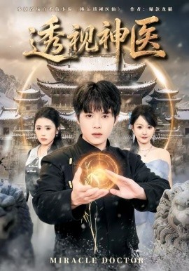 透视神医第12集