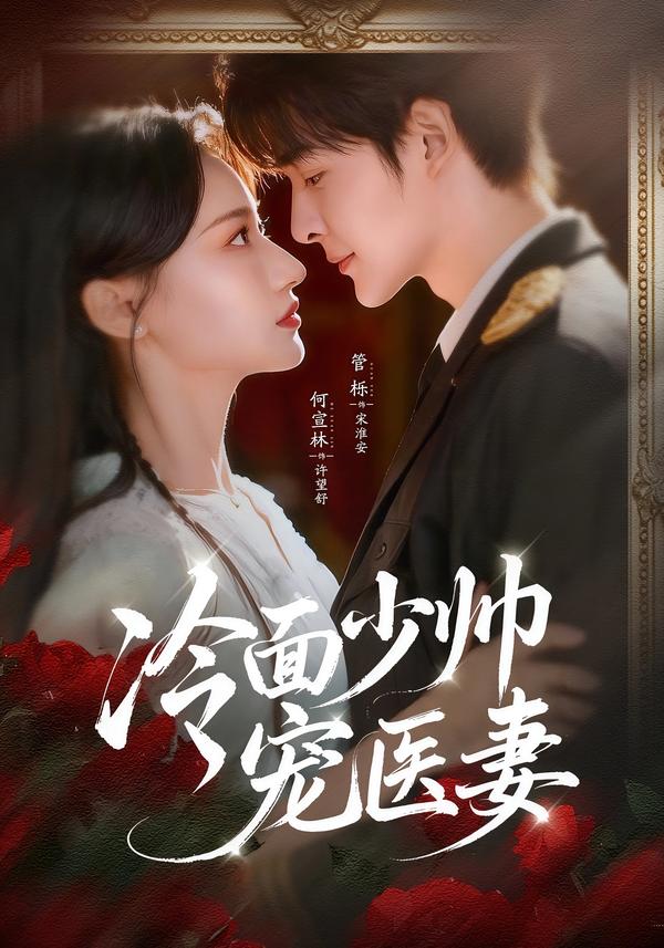 冷面少帅宠医妻(全集)