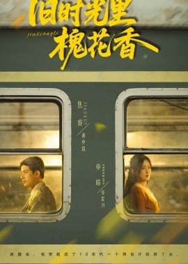 旧时光里槐花香(全集)