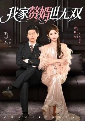 我家赘婿世无双(全集)